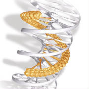 triple-helix-designing-a-new-molecule_1.jpg
