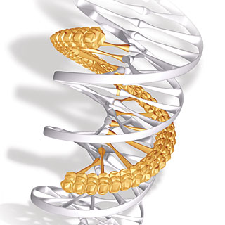 triple-helix-designing-a-new-molecule_1.jpg